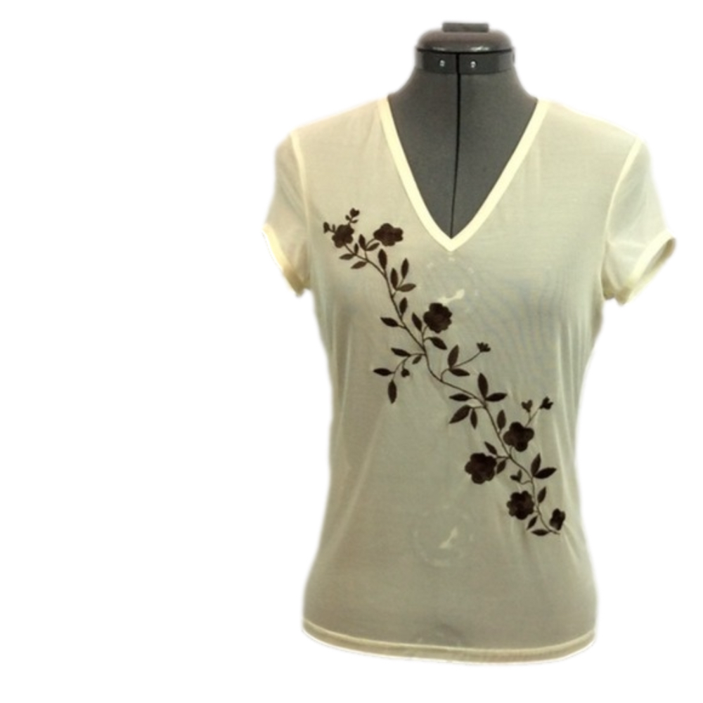 EXPRESS 💕Unique Classy Sheer Embroidered Top💕